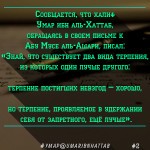 Умар Хаттаб Письмо Терпение