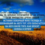 вы те кто