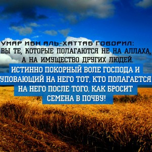 вы те кто