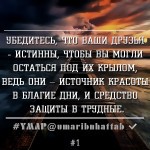 друзья